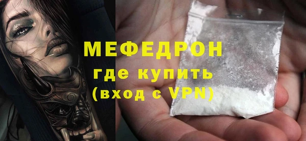 индика Ельня