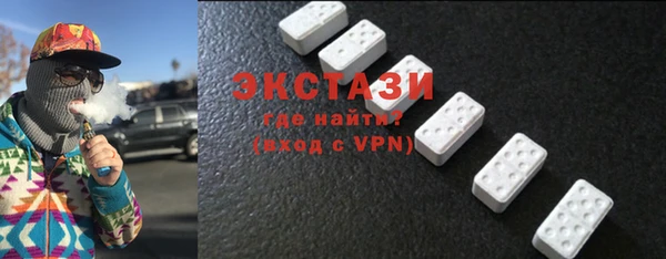 индика Ельня