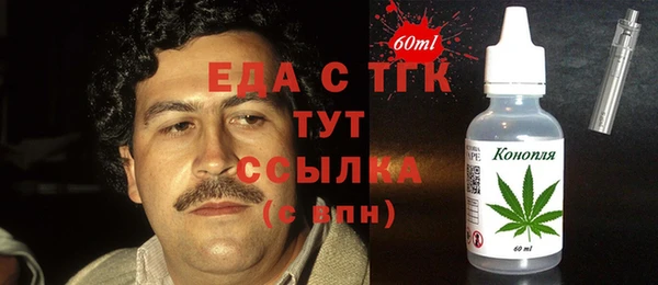 индика Ельня