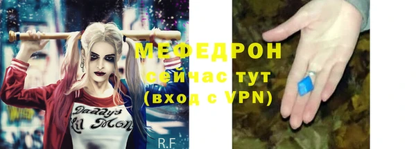 индика Ельня