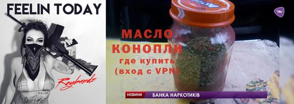 индика Ельня