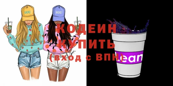 индика Ельня