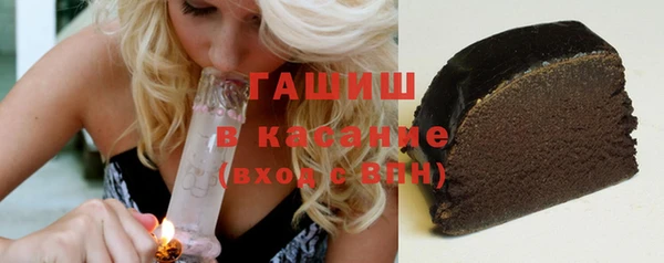 индика Ельня
