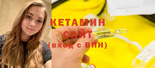 индика Ельня