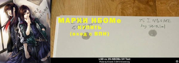 индика Ельня
