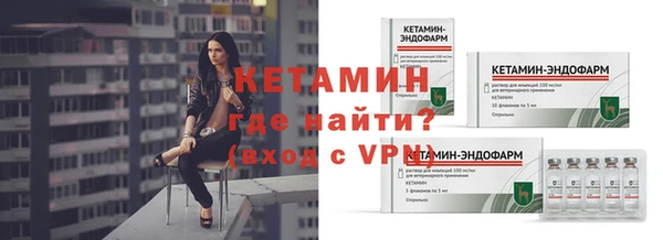 индика Ельня