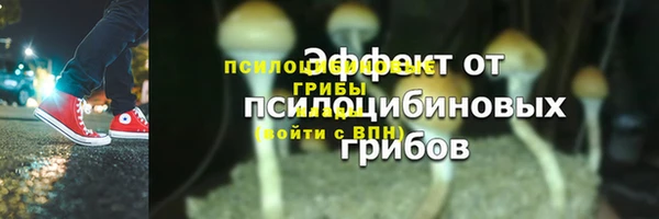 молекула духа Нижний Тагил