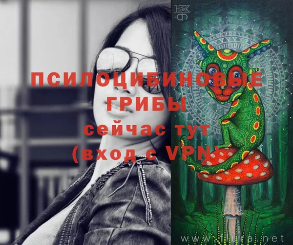 бошки Елизово