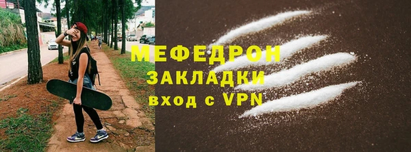 индика Ельня