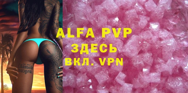 индика Ельня