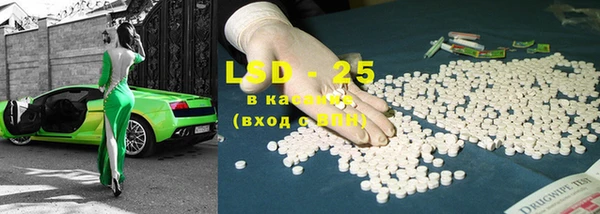 индика Ельня