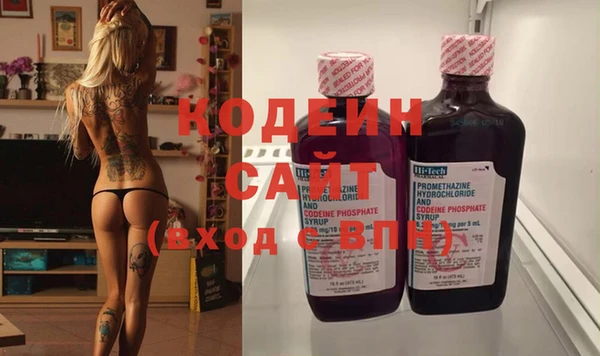 индика Ельня