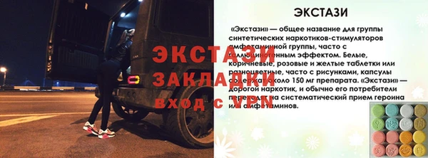 индика Ельня