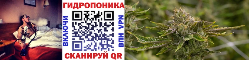 Каннабис гибрид  Красновишерск 